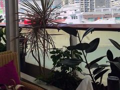 -润园四季椰子鸡火锅(海上世界店)