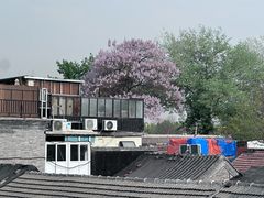 -闲·胡同 Barblu Hutong(雍和宫五道营店)