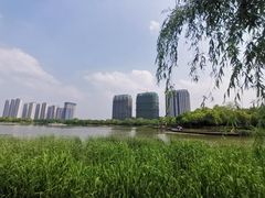 -南翔镇银翔湖公园
