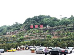-枇杷园食为鲜火锅(南山店)