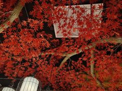 -庭院江南菜•烤鸭•非遗传承(丰台总部基地店)
