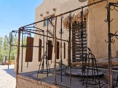 景观位-沙洲胡杨焖饼