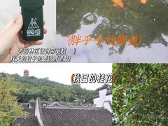 -惠山古镇·寄畅园