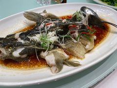 -新吉士·上海菜(浦东LCM置汇旭辉店)