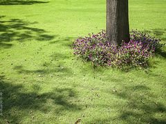 -黄公望隐居地