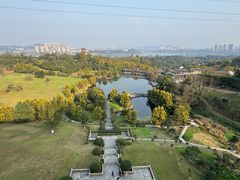 -张坝桂圆林公园