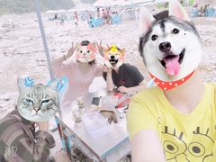 -虹口漂流