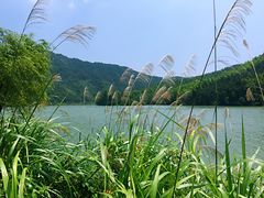 -秋浦河景区