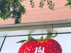 -树夏(建设路店)