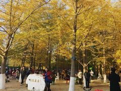 -辽宁大学(崇山校区)