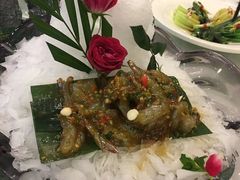 -便宜坊烤鸭店(甜水园店)