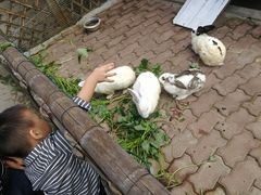 -太阳岛度假酒店