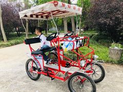 -上海海湾国家森林公园