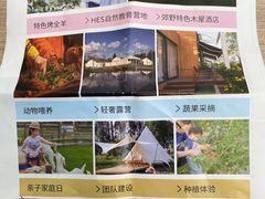 -前小桔亲子创意农场·草莓采摘·露营烧烤