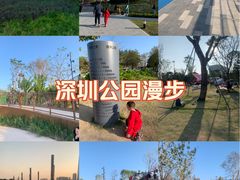 -深圳人才公园