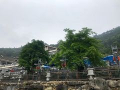 -老幺泉水鸡