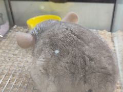 -鹏欣水游城