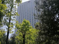 -金狮国际酒店自助餐(金狮店)