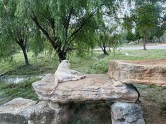-上海野生动物园
