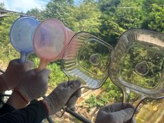 -平江沱龙峡漂流