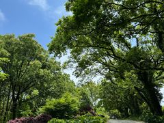 -普陀山慧济禅寺