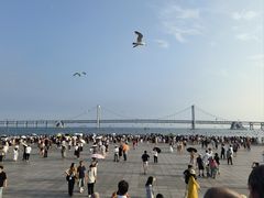 -星海广场