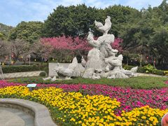 -金鸡山公园