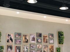 -藏猫猫咖啡主题馆(中央大道店)