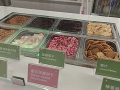 -Salud撒露欧洲冻酸奶(五道口购物中心店)