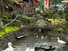 -青城甲(青城山店)