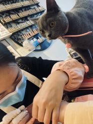 -Miss·A日式美甲美睫