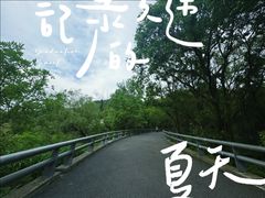 -西湖风景区-江洋畈生态公园