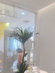 -玛莲朵·海菲秀冰珀科