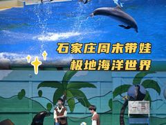 -石家庄极地海洋世界