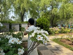 -洛阳市隋唐城遗址植物园
