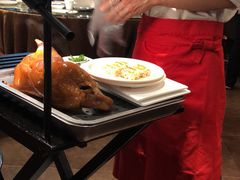 -阿庄新豫菜(航海东路店)