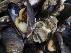 青口贝-老虎滩大连海鲜烧烤(建邺云锦路总店)