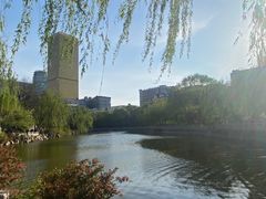 -文瀛公园