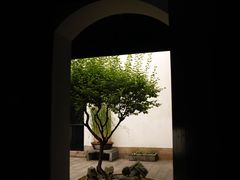 -绮园景区