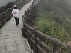 -银瓶嘴森林公园