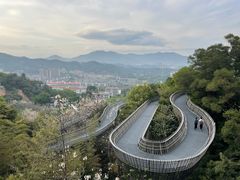 -福道