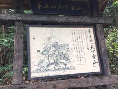 -天门沟九州驿站树上汤泉