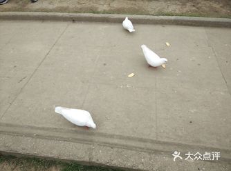 南京旅游推荐景点攻略音乐台