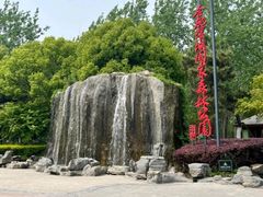 -合肥滨湖国家森林公园
