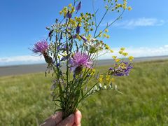 -呼和诺尔旅游景区