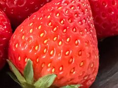 -小鱼草莓采摘园农家乐·小鱼餐厅