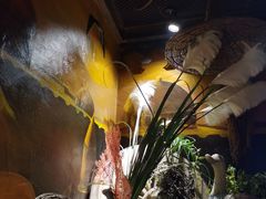 -楼兰新疆主题餐厅(坂田佳华领汇广场店)