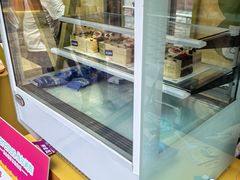 -维尔纳斯·生日蛋糕动物奶油冰淇淋蛋糕(人大店)