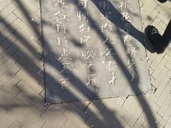 -桃花堤公园