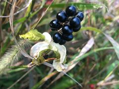 -长春公园(普阳街道)